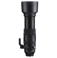 SIGMA 60-600mm telephoto zoom lens for Sony mirrorless