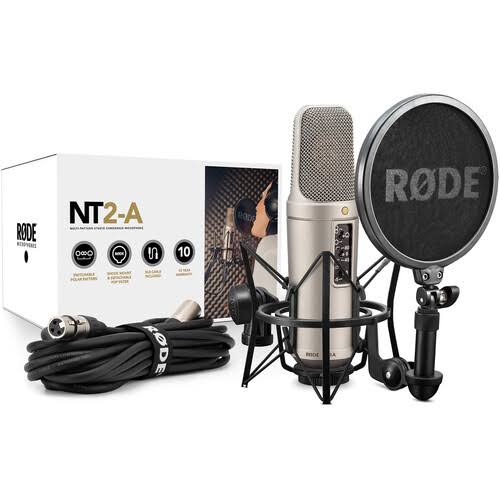 Condenser microphone for studio recording and podcasts - Delenzo Mart