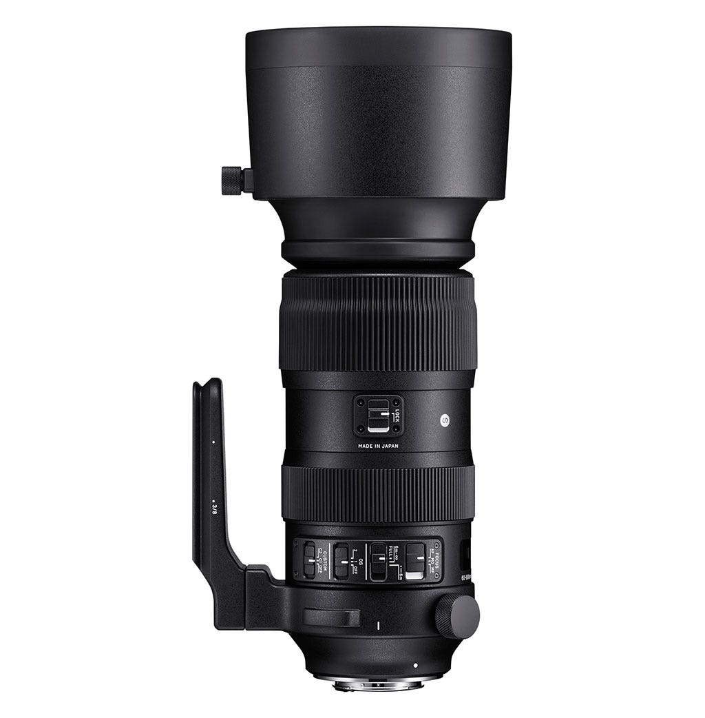 SIGMA 60-600MM F4.5-6.3 DG OS HSM | S