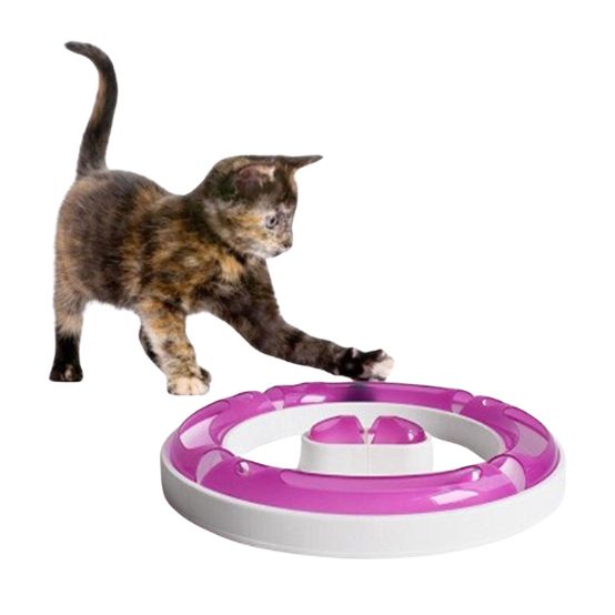 Buy Non-Toxic Cat Chasing Ball Track Toy