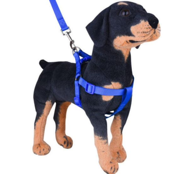 Easy Walk No-Pull Puppy Harness with Leas