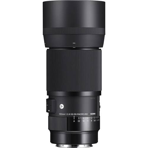 Sigma 105mm f/2.8 DG DN Macro Art Lens for Sony E