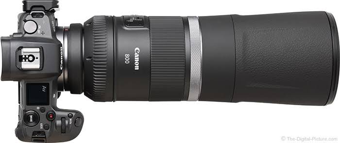 Canon RF 800mm f/11 IS STM Lens