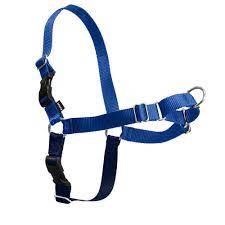 Easy Walk No-Pull Puppy Harness with Leas