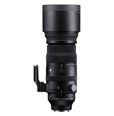 Sigma 150-600MM F5-6.3 DG DN OS Sports Lens - Front view showcasing powerful zoom range