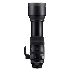 Sigma 150-600MM F5-6.3 DG DN OS Sports Lens - Side view highlighting rugged build for outdoor photography